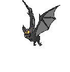 Rabid Transit System to the Lobby