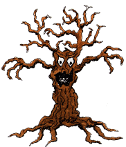 Seed for this tree poached from 
California's Haunted Forest!