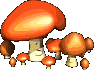 These are the same poisonous mushrooms that killed Vanessa Horrible!